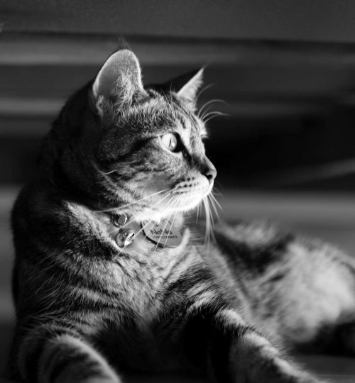 Compress_20250712_155950_0488