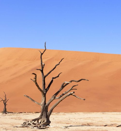 Compress_20250712_155954_4119