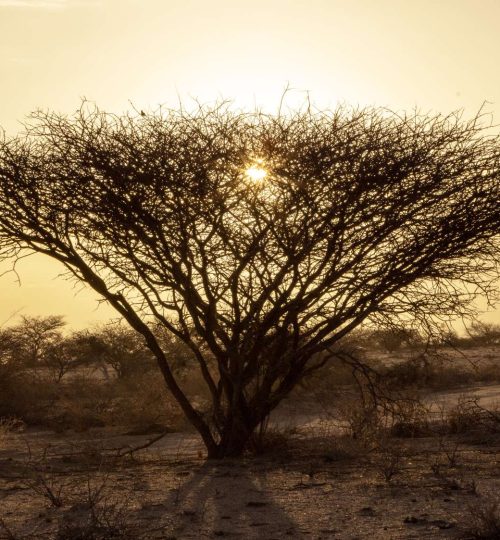 Compress_20250712_155959_9719