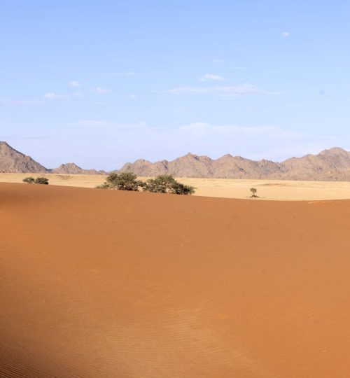 Compress_20250712_160001_1189