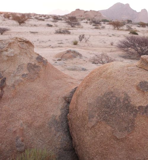 Compress_20250712_160002_2023