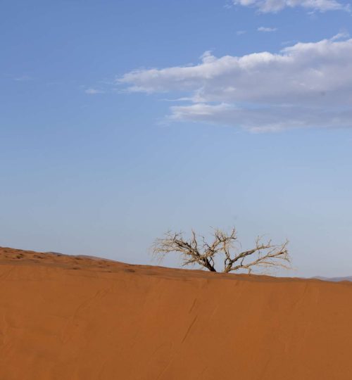 Compress_20250712_160003_3216