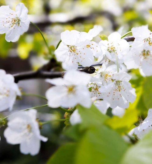 Compress_20250714_224419_9575