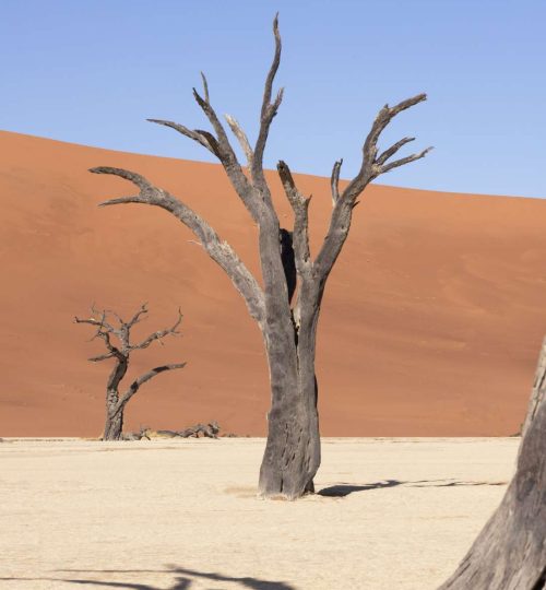 Compress_20250714_224422_2615