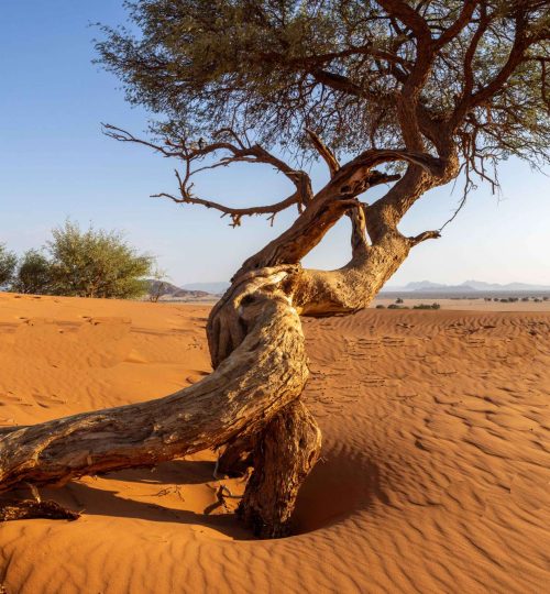 Compress_20250714_224432_2997