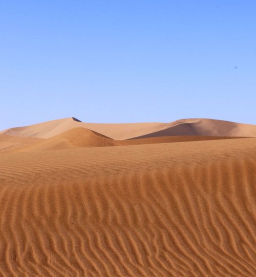 Compress_20250714_224434_4211