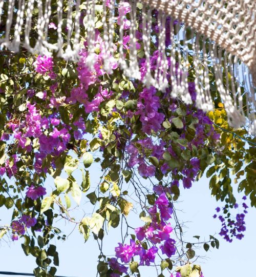 Compress_20250714_224440_0969