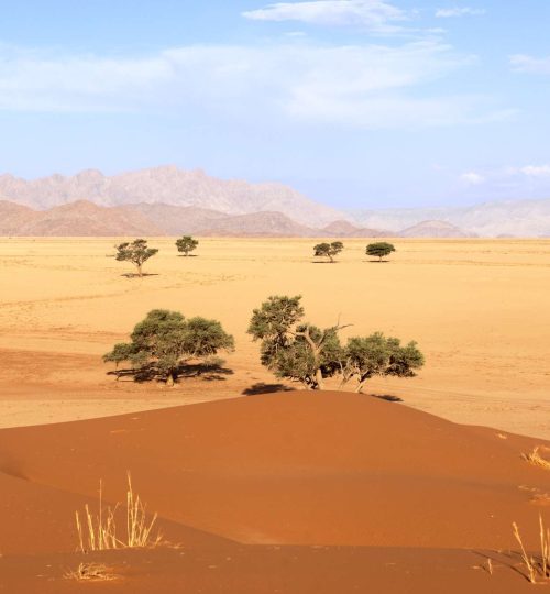 Compress_20250714_224446_6628