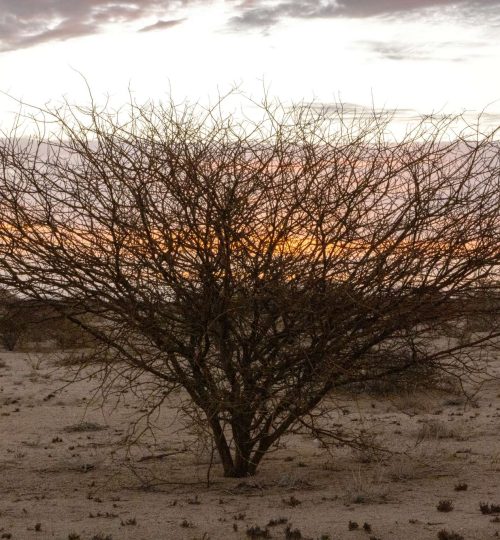 Compress_20250714_224535_5987