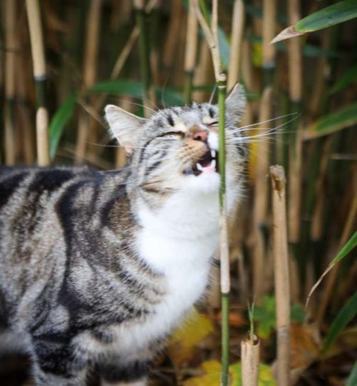 Compress_20250714_224538_8034