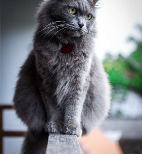 Compress_20250716_133428_8044