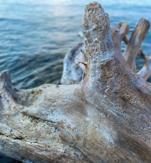 Compress_20250716_133429_9569