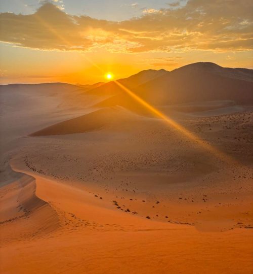 Compress_20250716_133430_0637