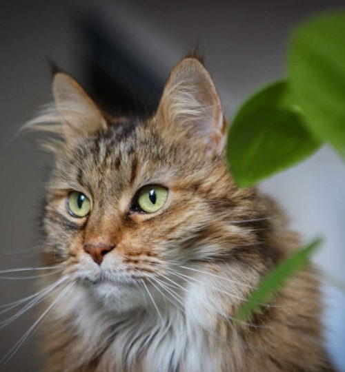 Compress_20250716_133430_0967