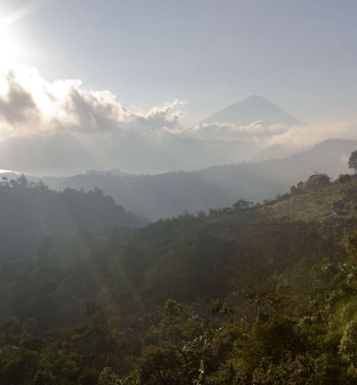 Compress_20250723_093224_4451