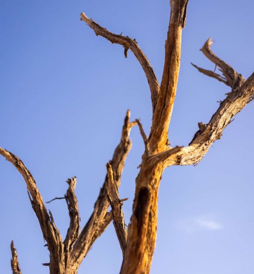 Compress_20250811_112913_3098